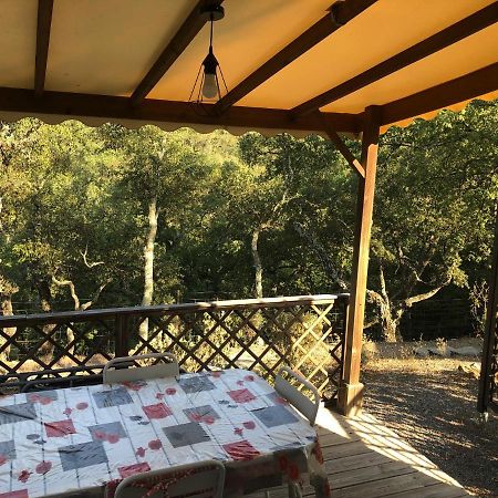 Camping De Parpaillon Рокбрюн-сюр-Аржан Экстерьер фото